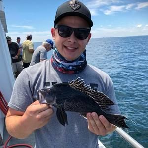 Meet your Posher, William